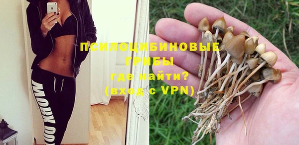 герыч Кинешма