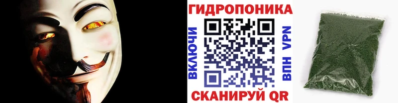 Купить где  Новый Оскол  Бошки Шишки марихуана 